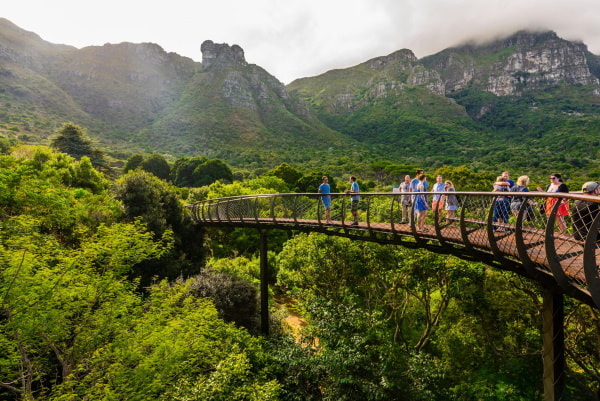 Kirstenbosch Botanical Garden